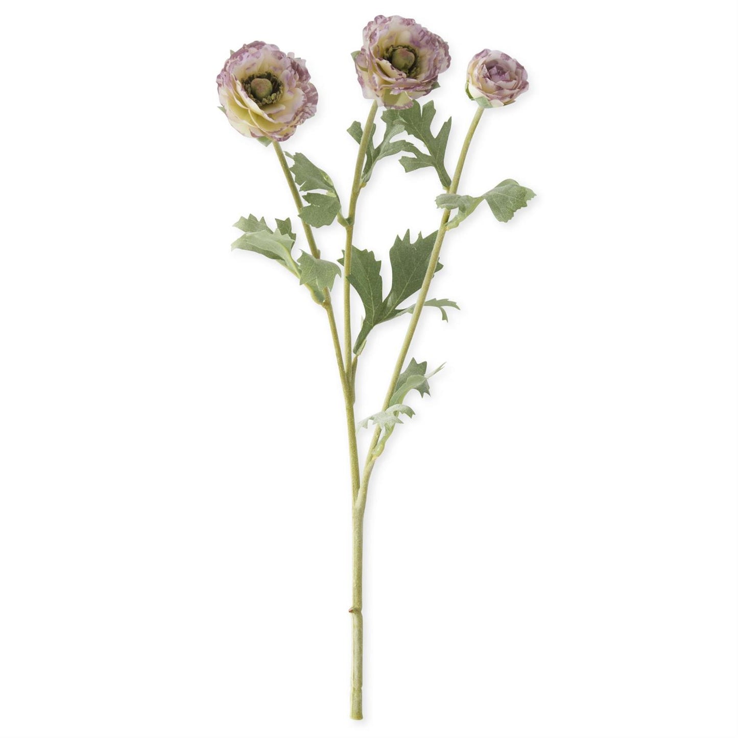 Petite Ranunculus Stem