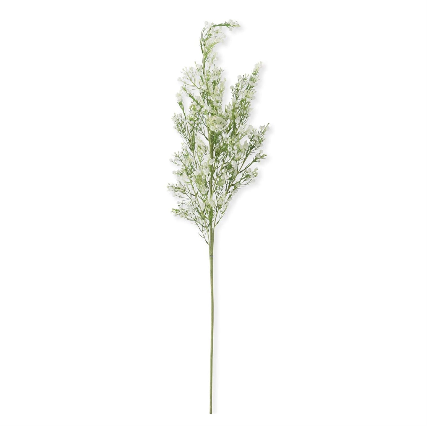 Extra Tall Baby's Breath Stem
