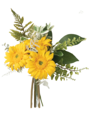 Gerbera Daisy Bouquets