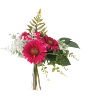 Gerbera Daisy Bouquets
