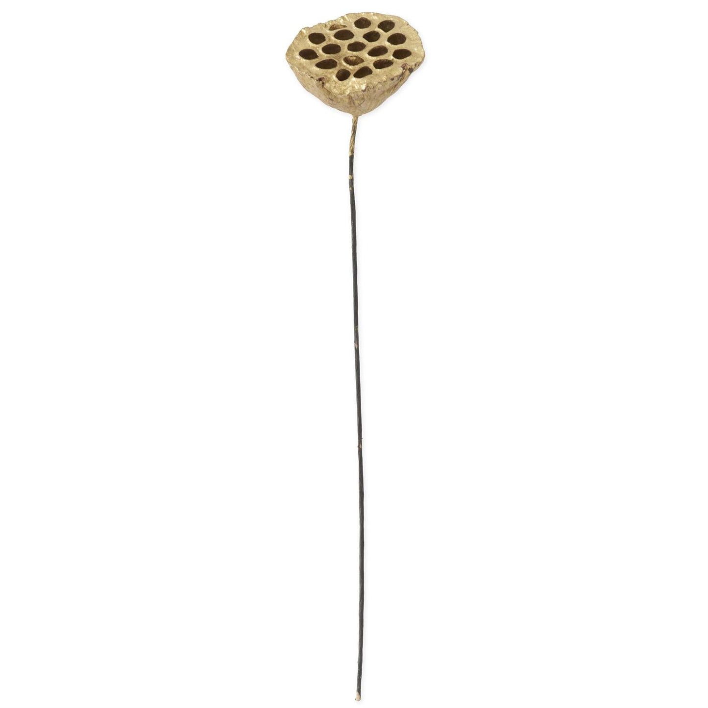 21 Inch Gold Lotus Seedpod