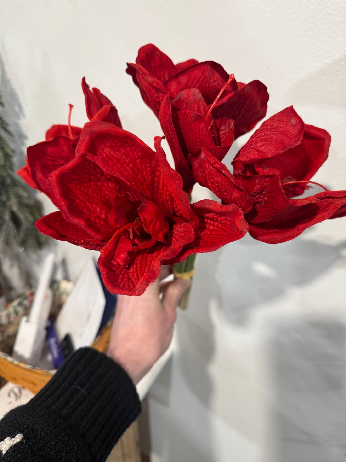Bouquet Red Amaryllis