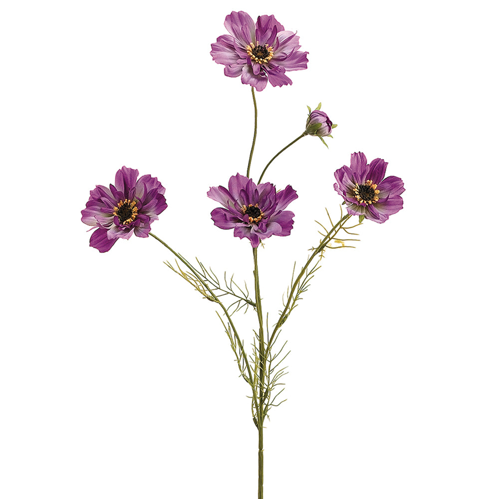 32" Cosmos Spray