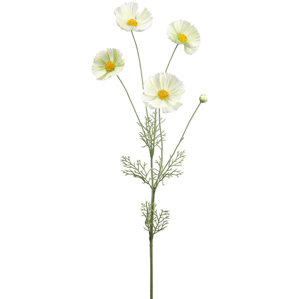 36" Cosmos Spray