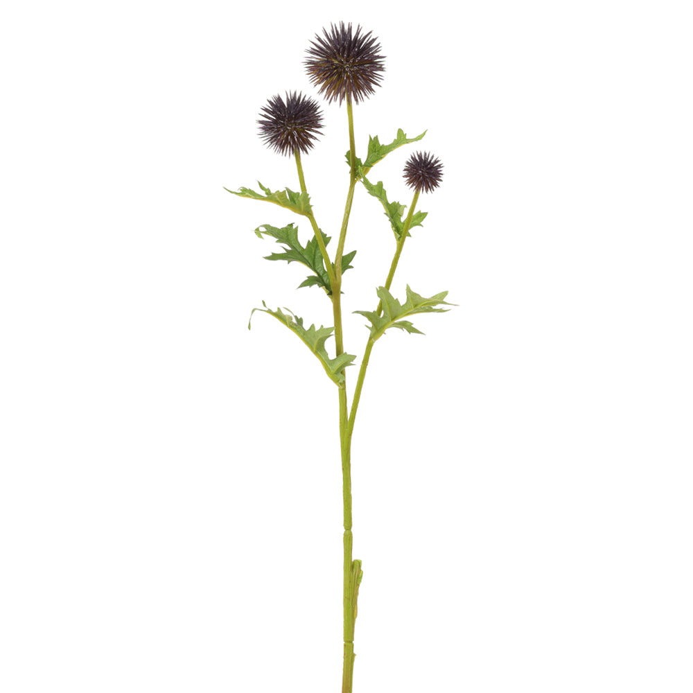 28" Globe Thistle Spray