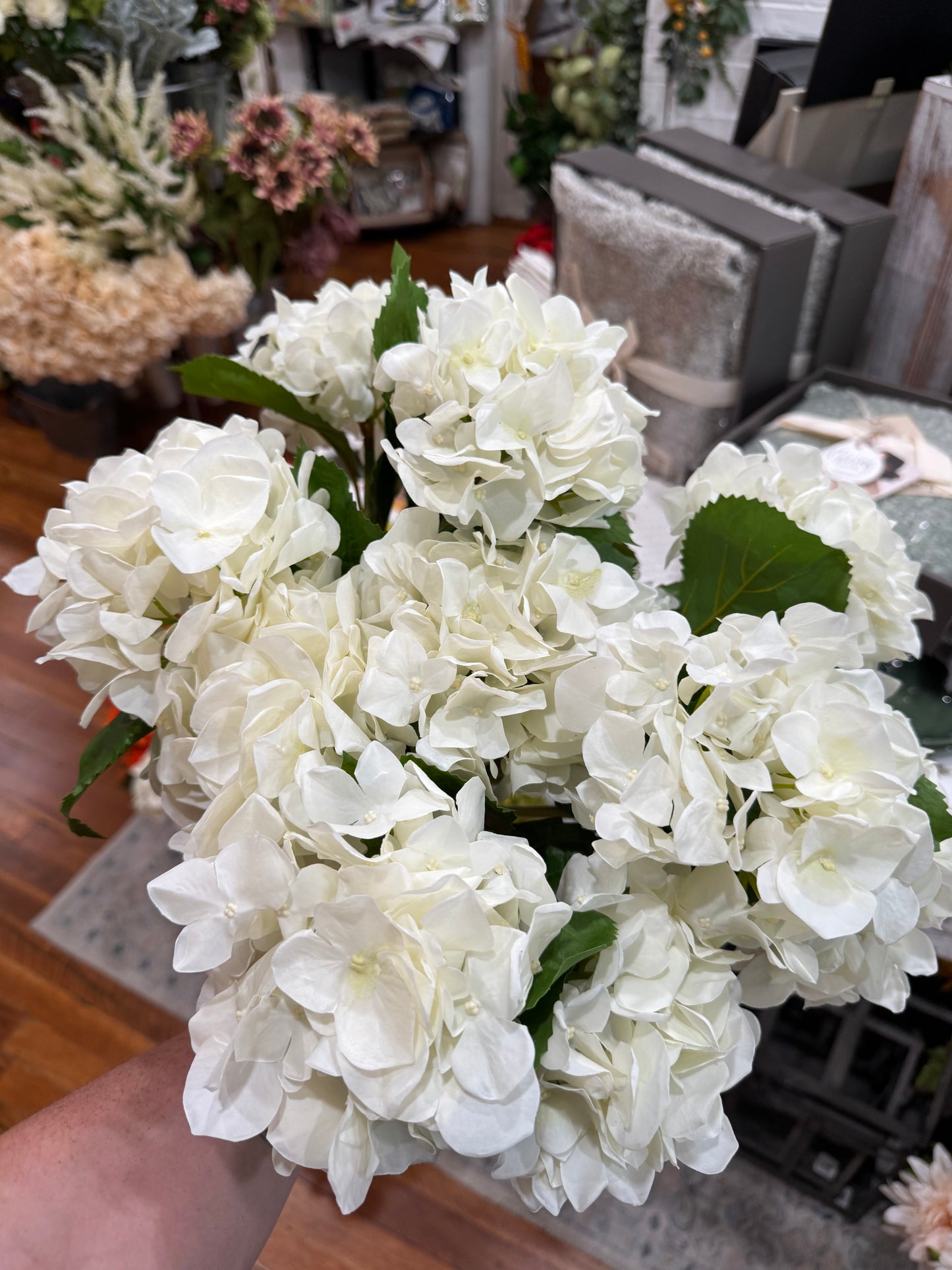 Hydrangea Stem