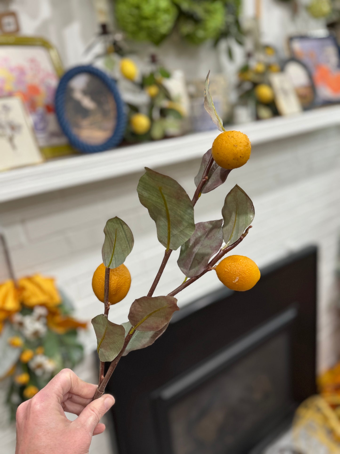 Dry Lemon Branch