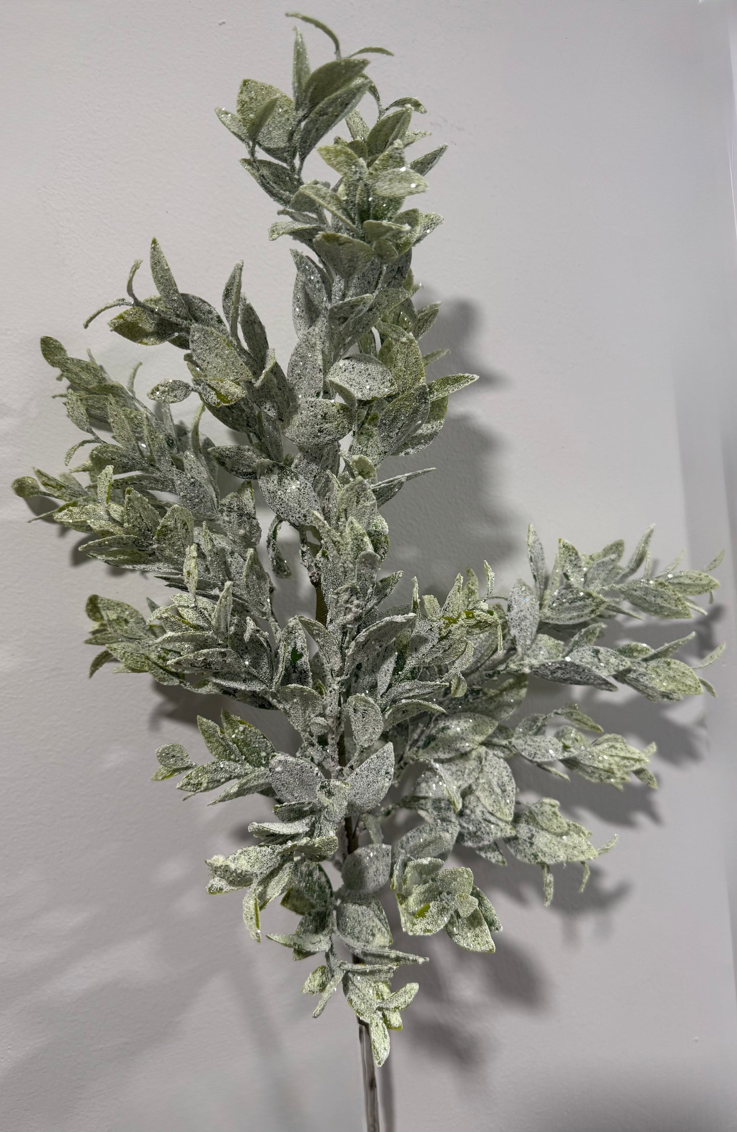 Frosted Eucalyptus Spray