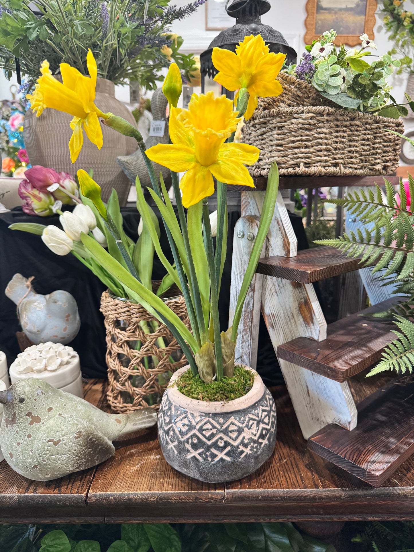 Potted Daffodils