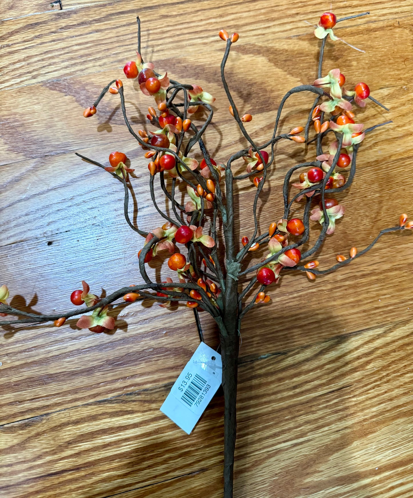 Bittersweet Berry Bush