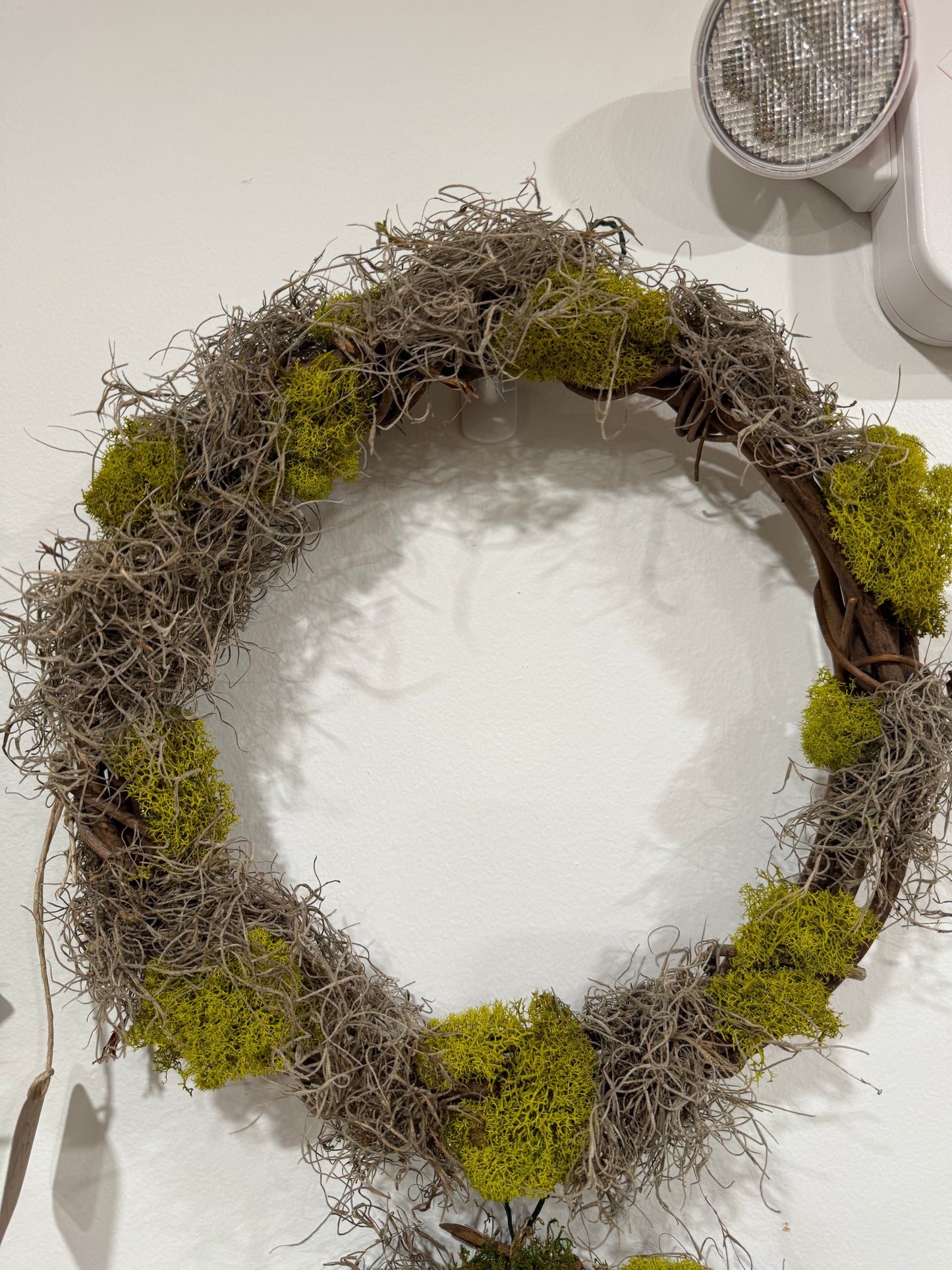 Moss Wreath