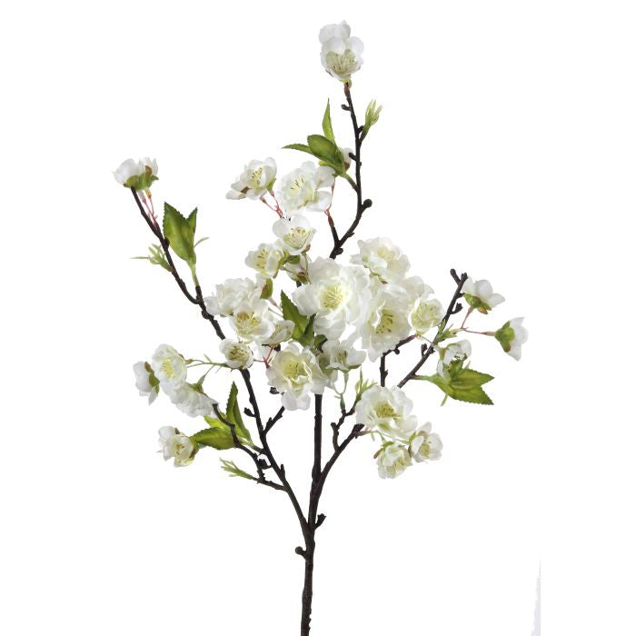 Cherry blossom Stem