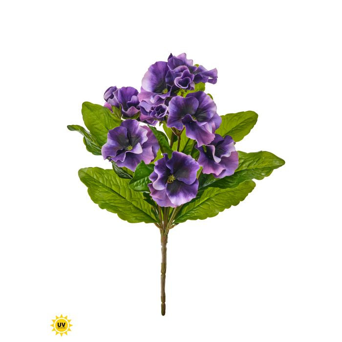 UV Safe Pansy Plant