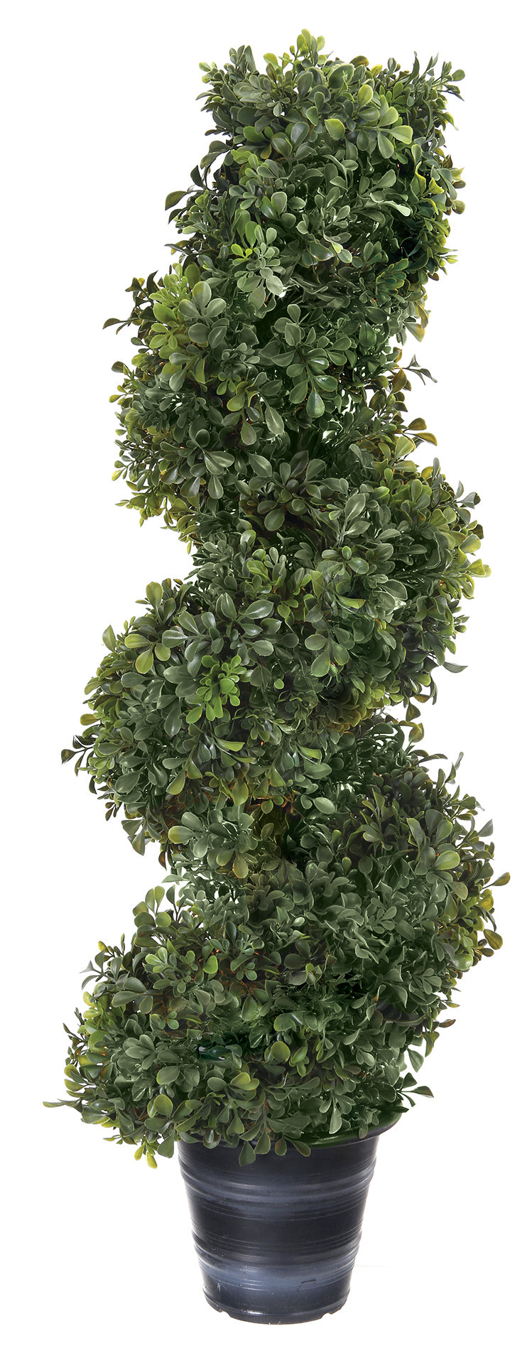 36" UV MIXED ENGLISH BOXWOOD SPIRAL TOPIARY
