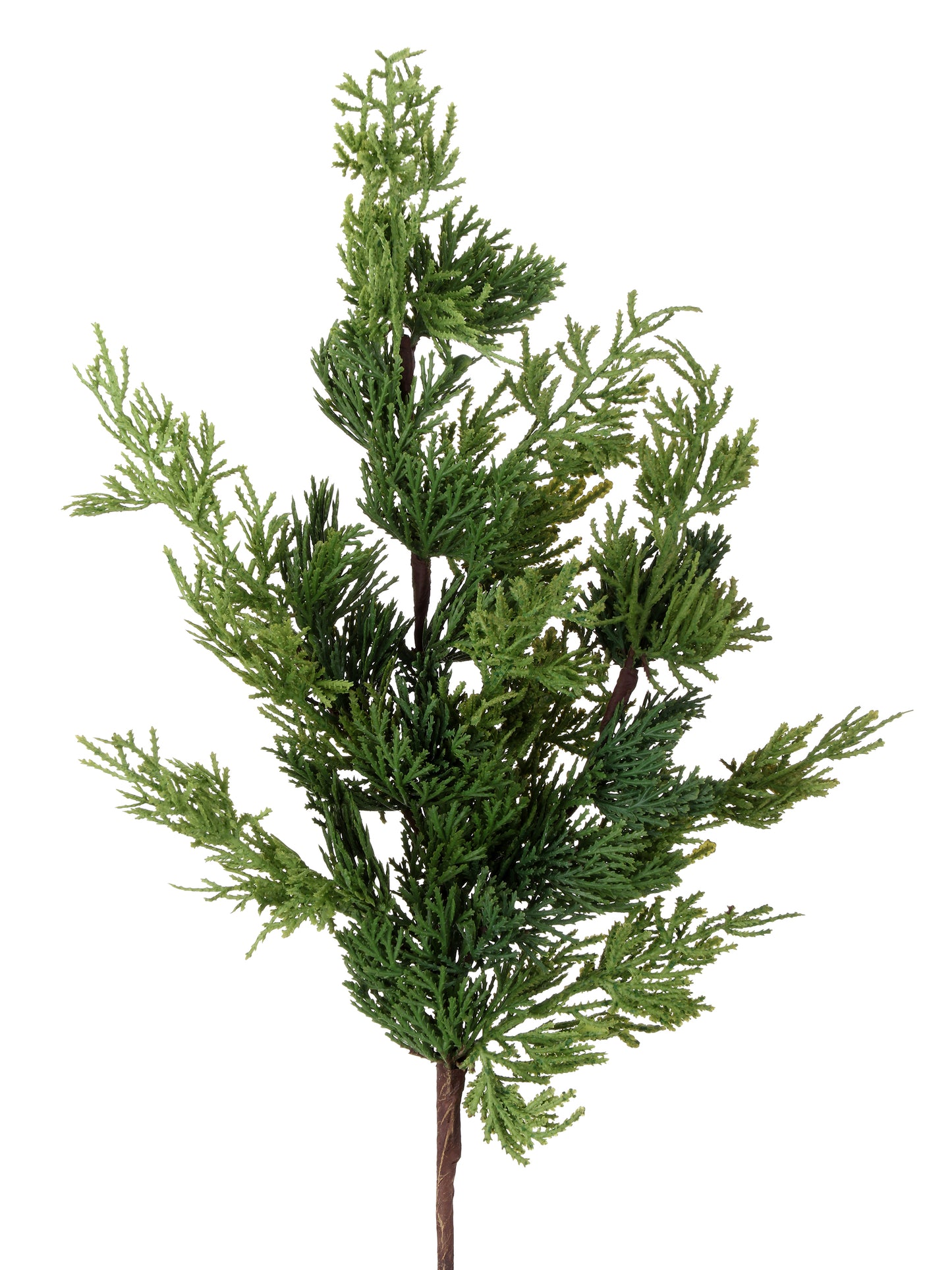 24" REAL TOUCH CEDAR SPRAY