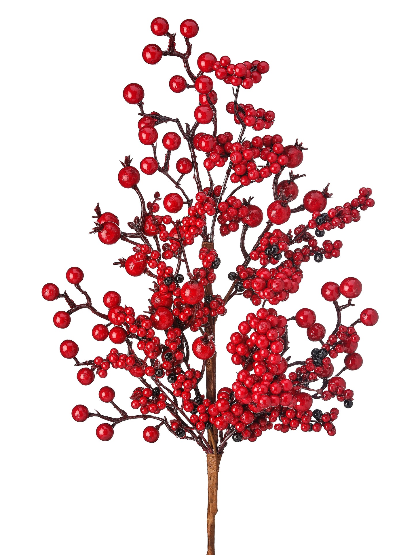 24" WP NEW ENGLAND BERRY SPRAY