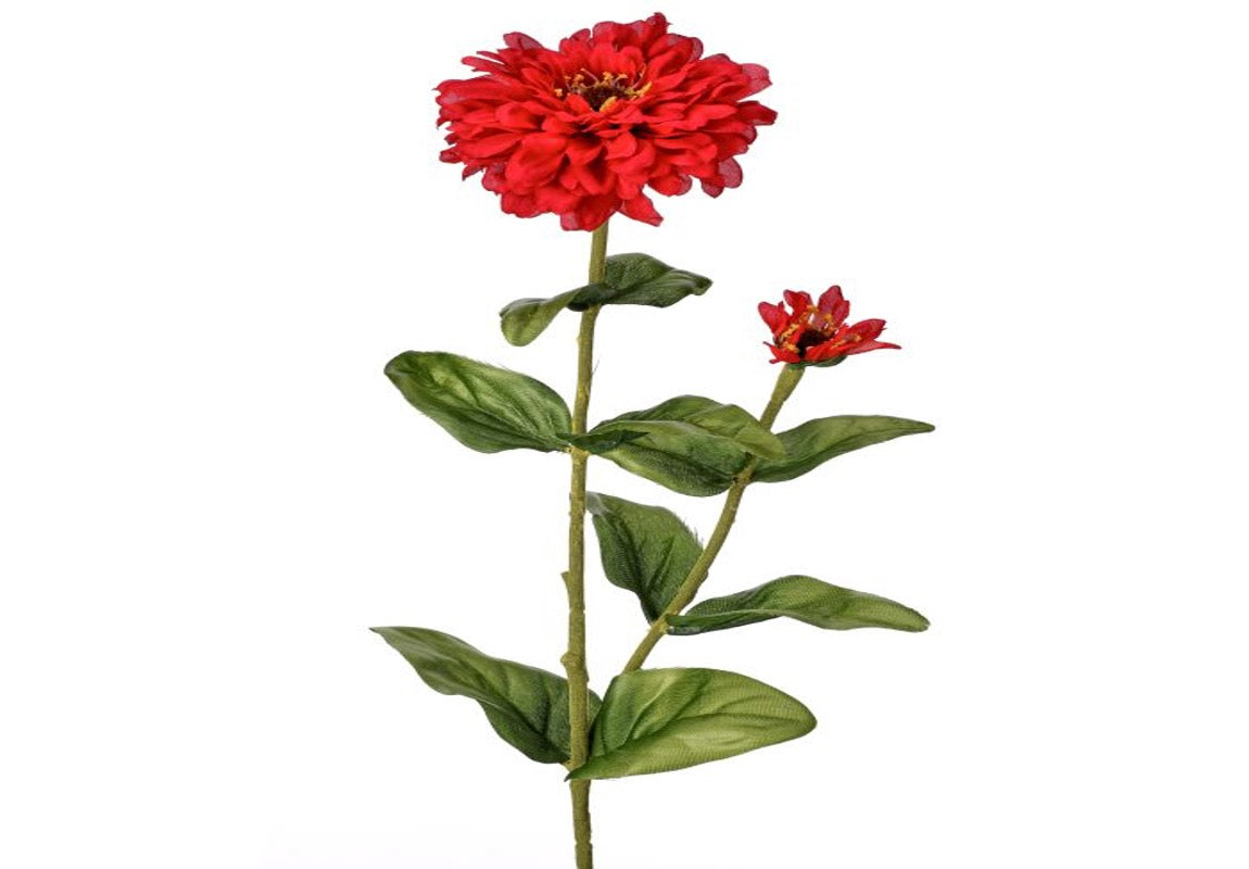 GARDEN ZINNIA + BUD 30"