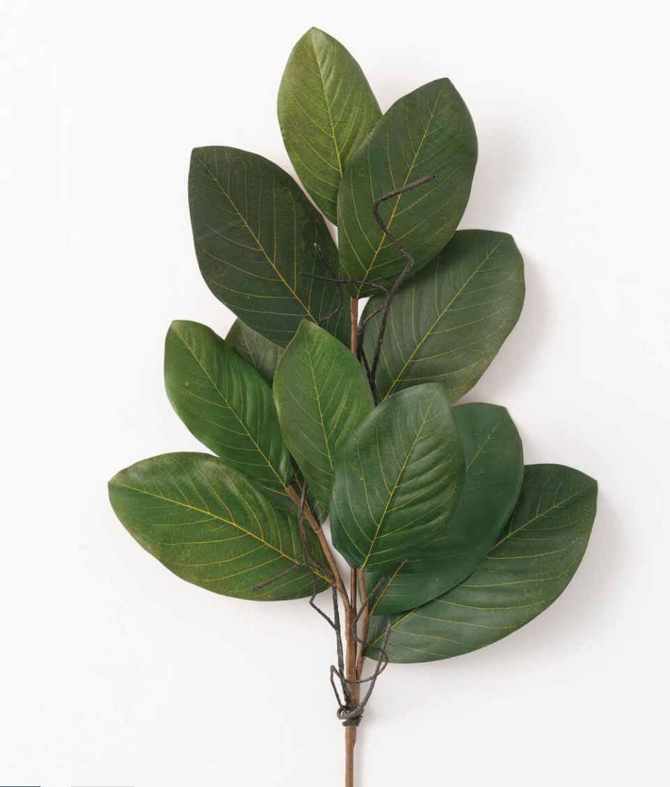 Magnolia Leaf Spray