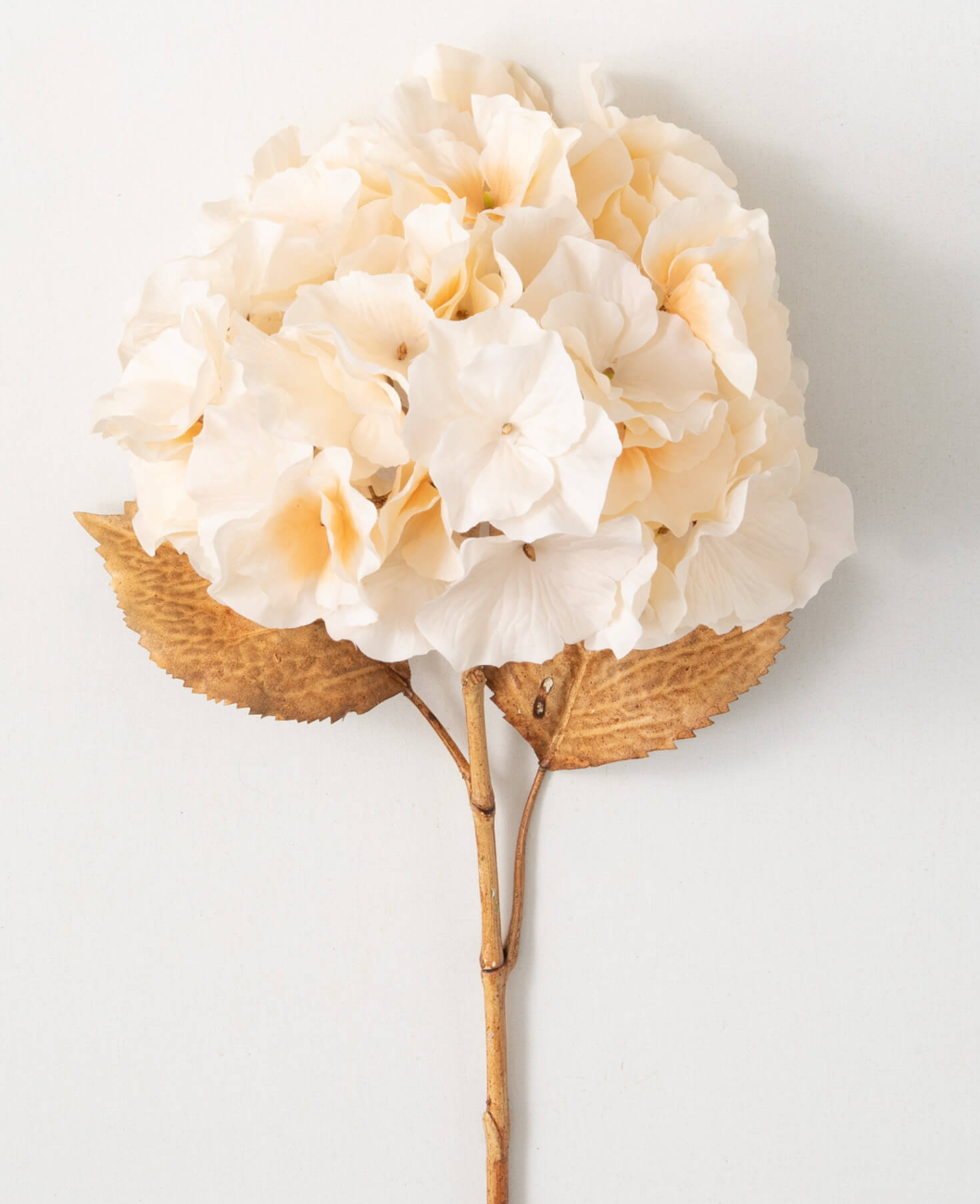 Dried Look Hydrangea Stem