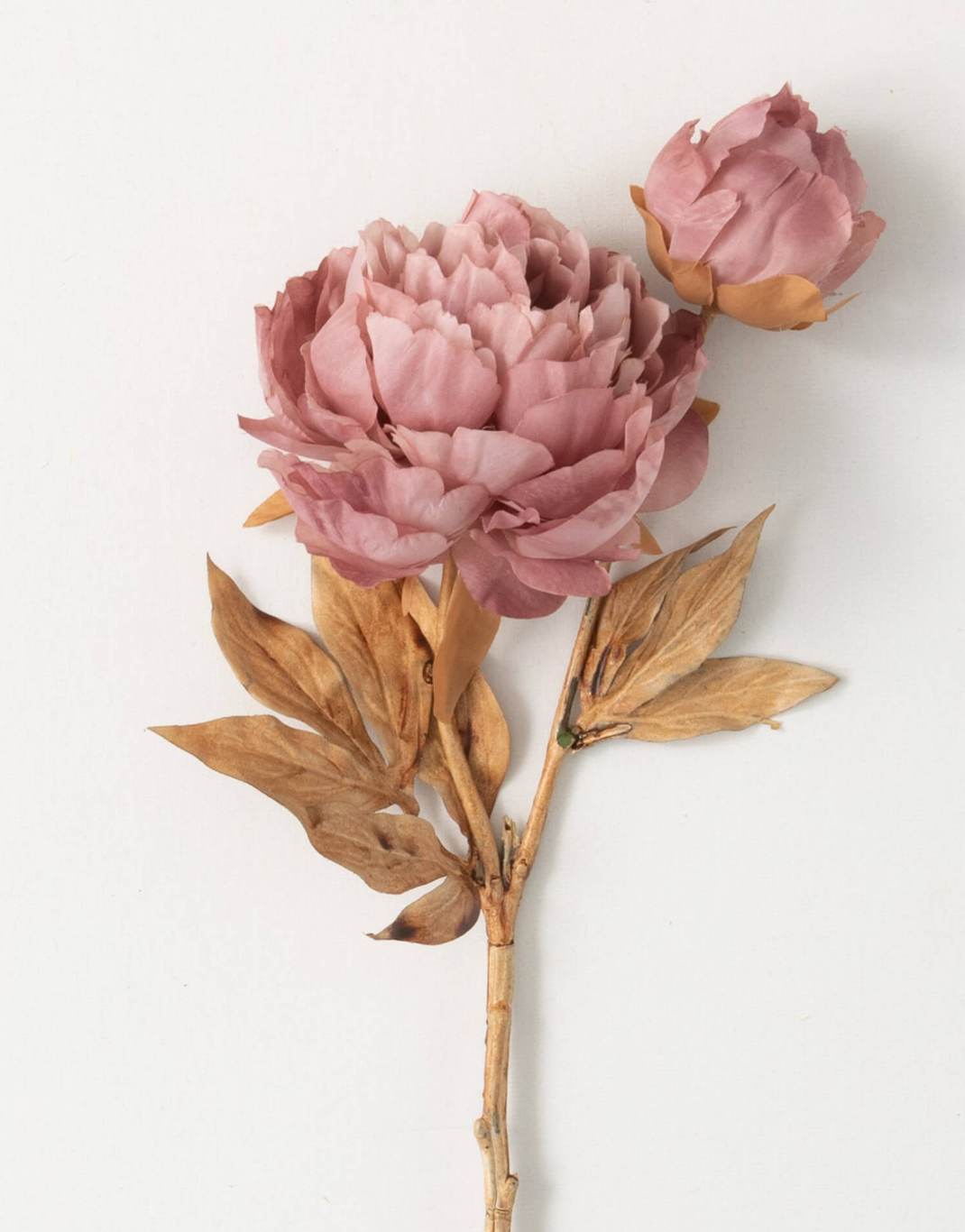 Dried Look Peony Spray
