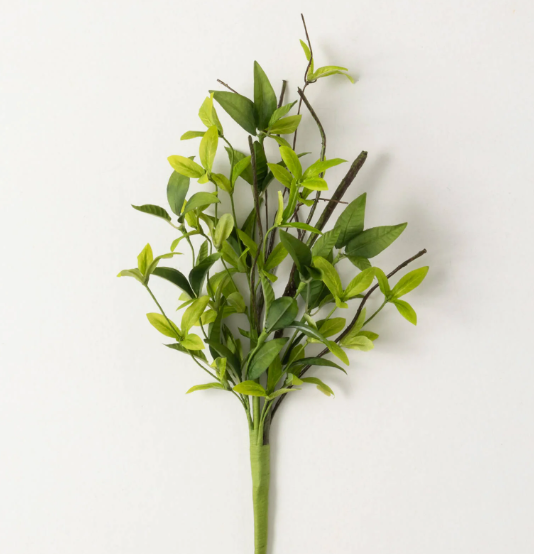 Ruscus Twig Pick