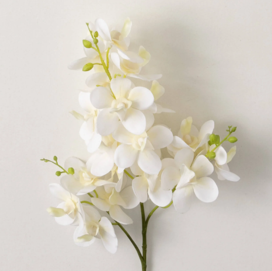 Mini Orchid Spray