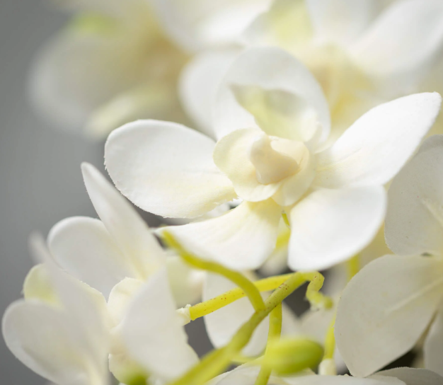 Mini Orchid Spray