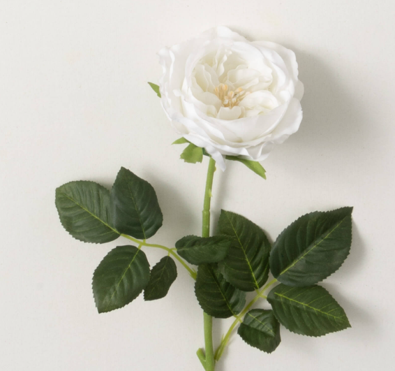 Garden Rose Spray