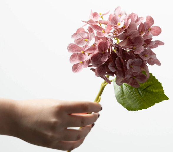 Hydrangea Spray