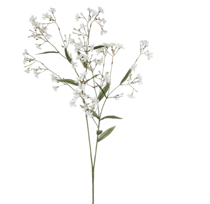 Wild Wax Flower Spray