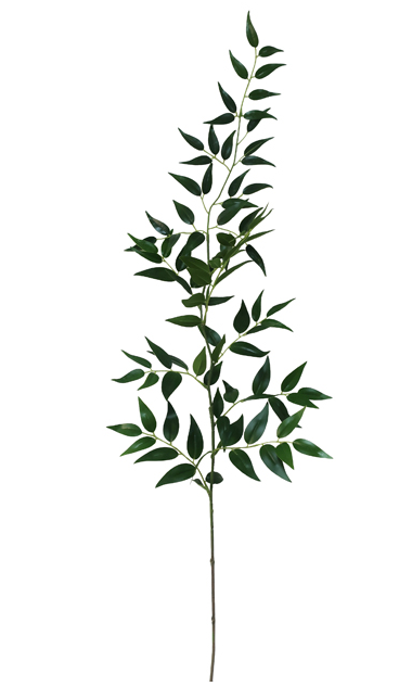 Smilax Leaf Spray