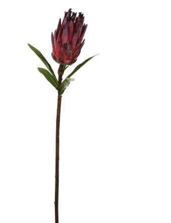 Burgundy Mink Faux Protea