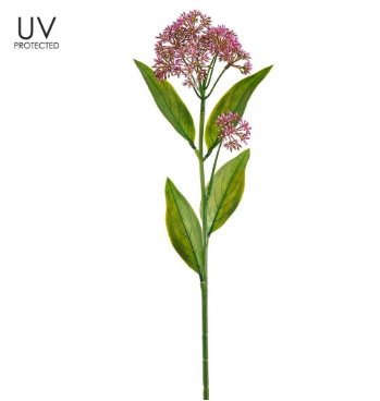 U.V. Protected Blossom