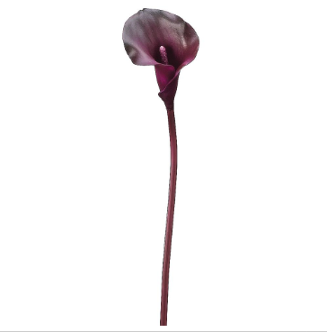 Real Feel Calla Lily Stem