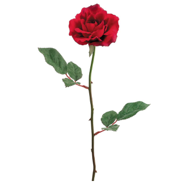 Medium Rose