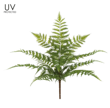 UV Protected Forest Fern Bush