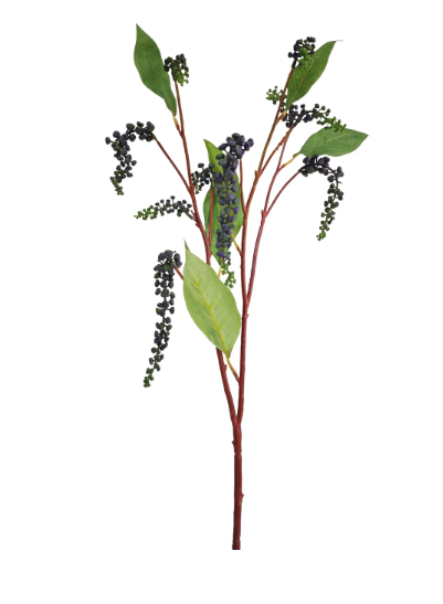 Blue Pokewood Berry Stem