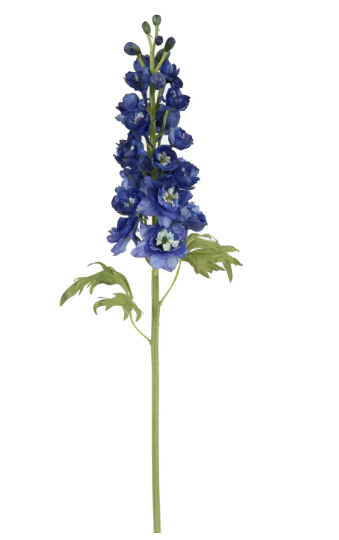Deep Blue Delphinium Short Stem