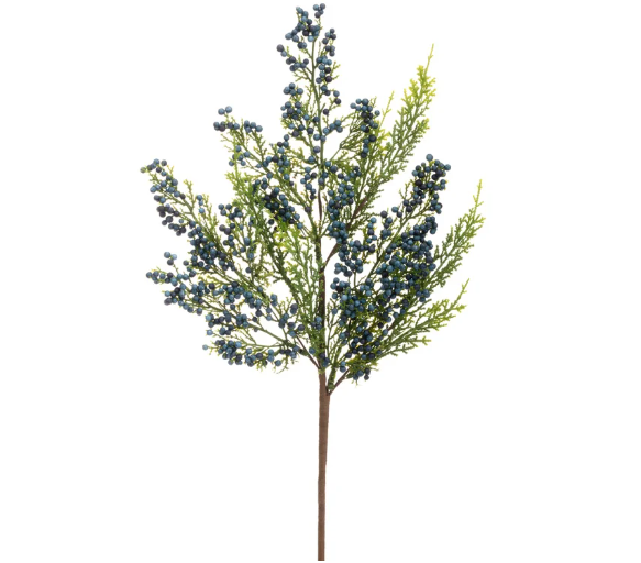 Blue Berry Cedar Pick