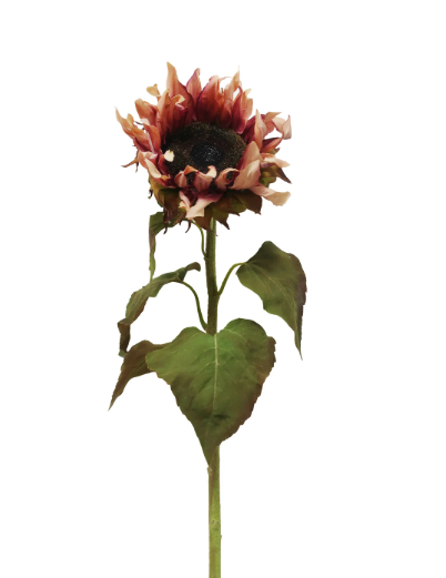 Sunflower Stem