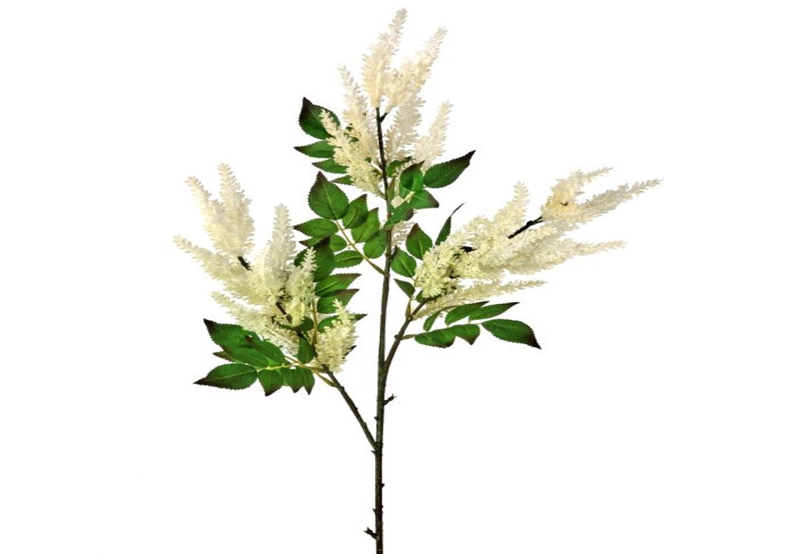 ASTILBE SPRAY X3 35"