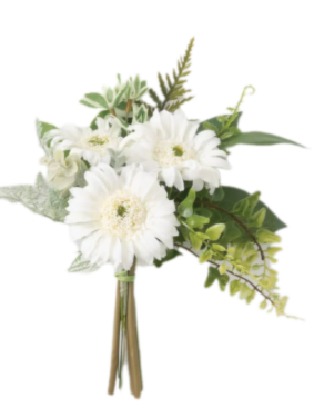 Gerbera Daisy Bouquets