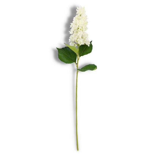 38.5 Inch White Cone Hydrangea Stem