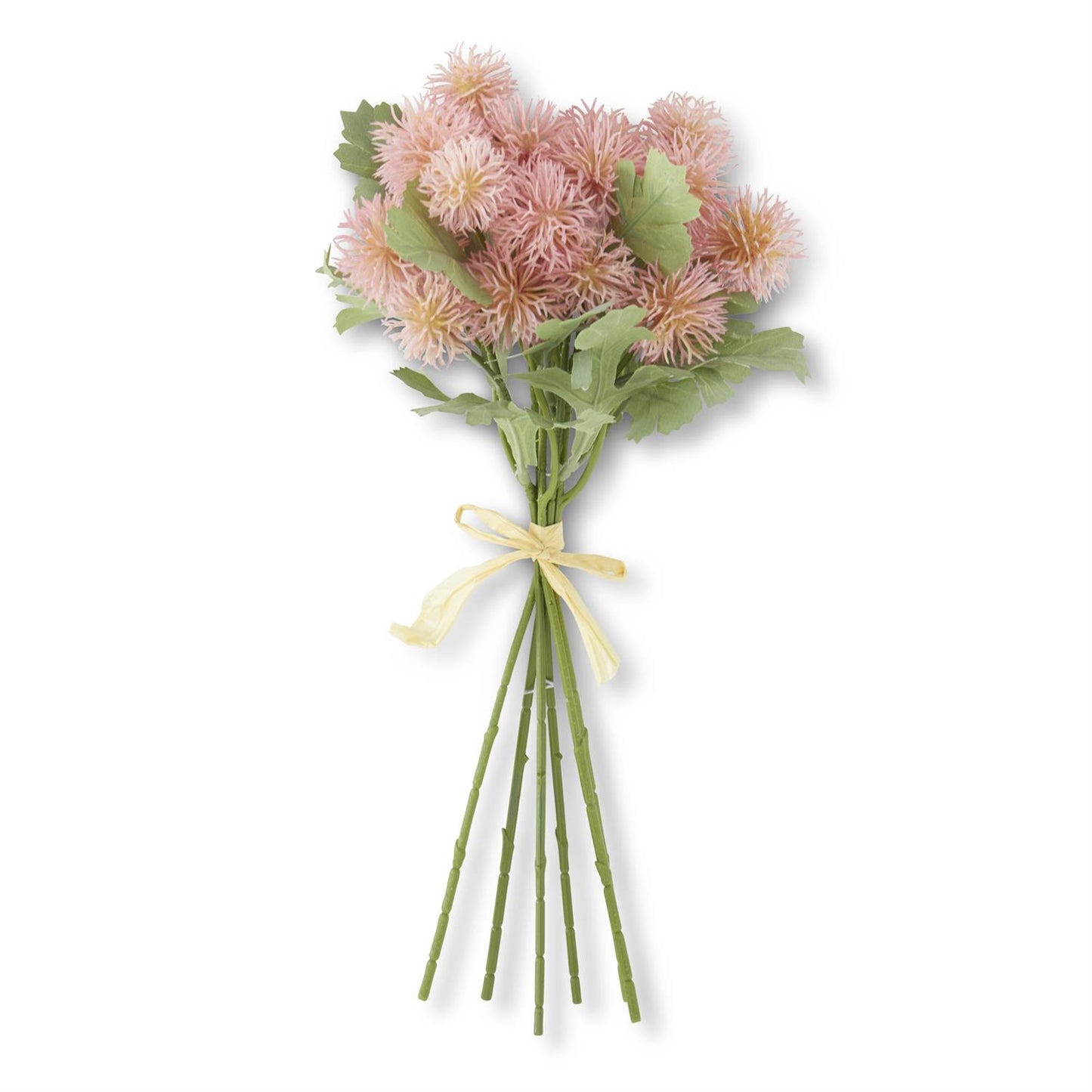 Sycamore Fruit Ball Bundle