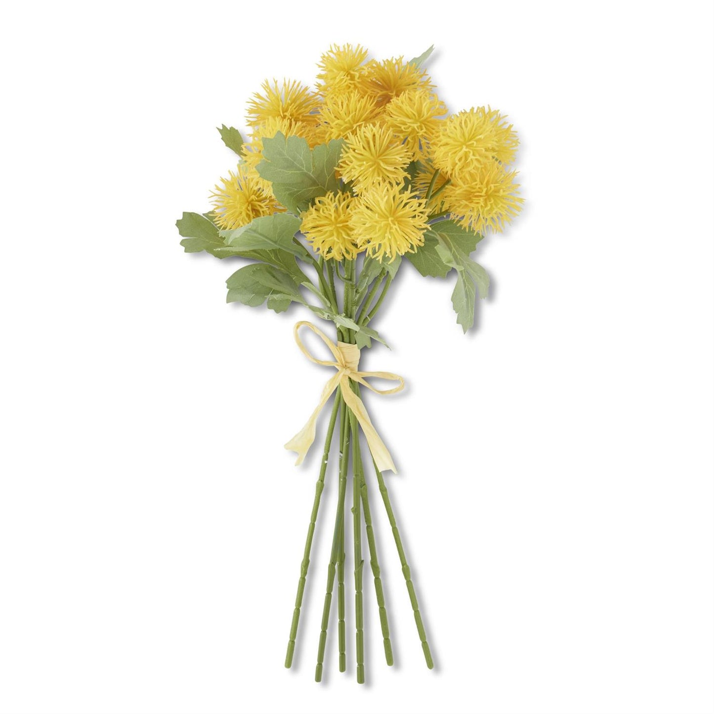 Sycamore Fruit Ball Bundle