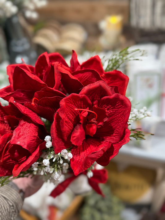 Bouquet Red Amaryllis