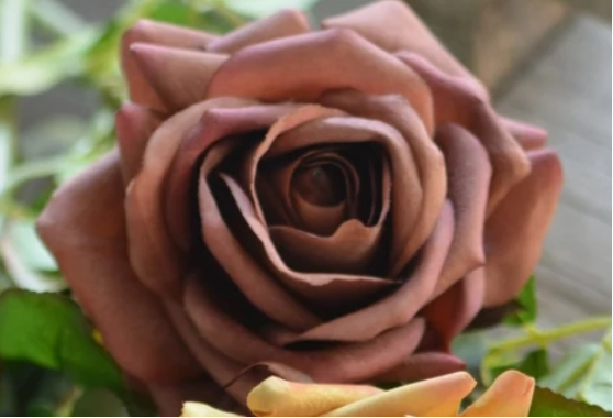 Premium Large Bloom Real Touch Rose Stem