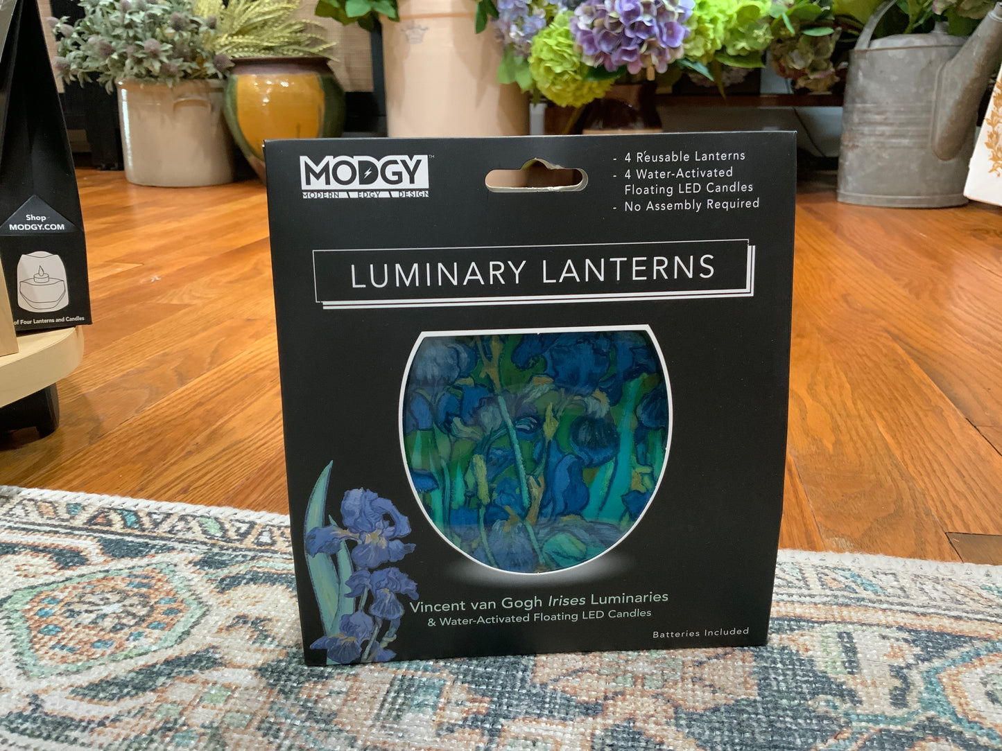 Luminaries / Lanterns