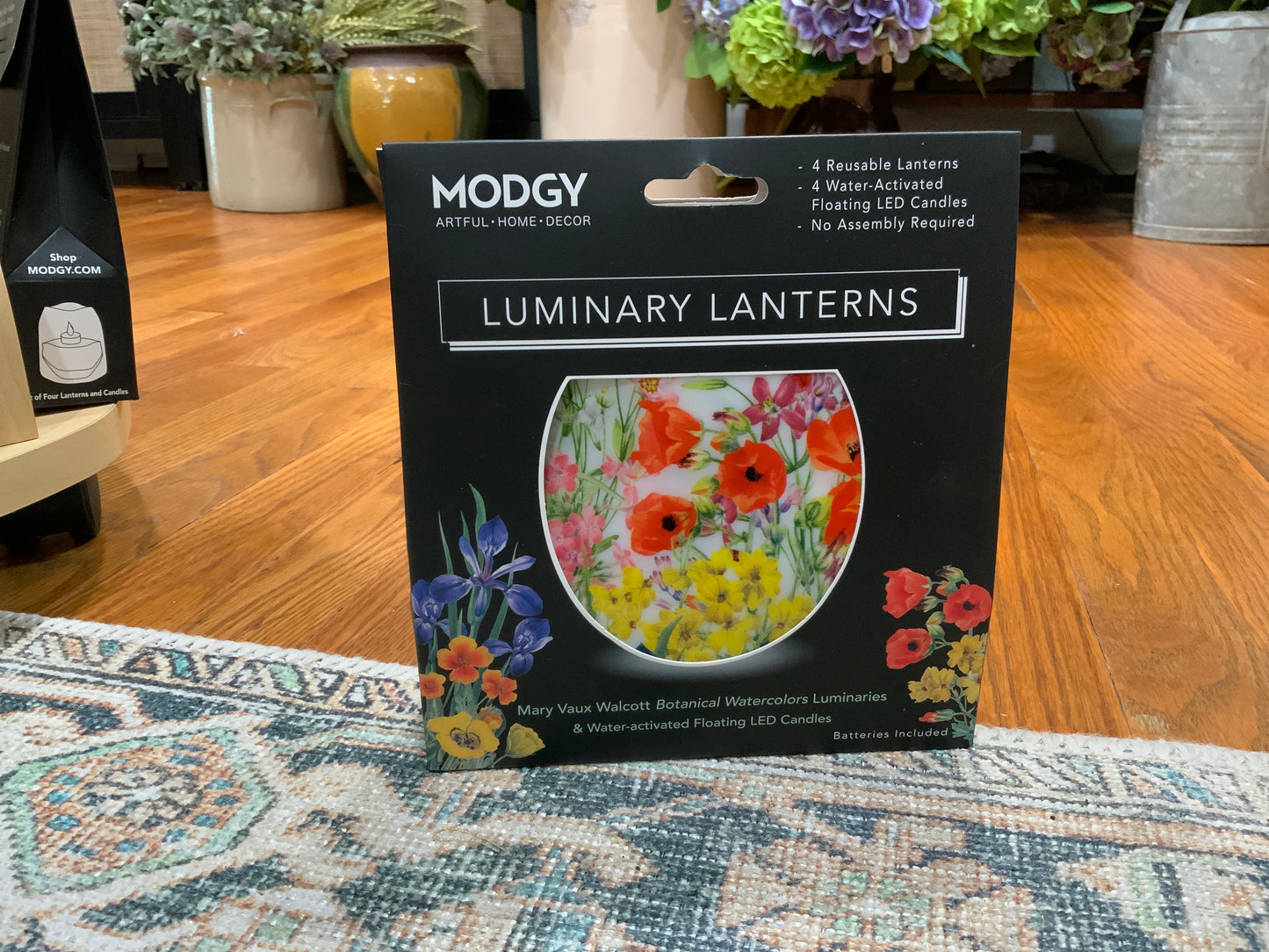 Luminaries / Lanterns