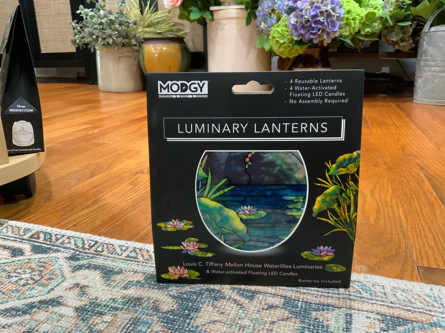Luminaries / Lanterns